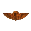 British Special Air Service (SAS) Tropical Parachute Wings Badge, Item 2