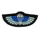 British Army 23rd Special Air Service (SAS) Parachute Wings - British Army Surplus - Flags, Badges & Insignia