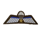 Dutch Army Parachute A-Wing Qualification Badge with Gold Star