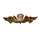 Novelty USN USMC Gold Jump Wings Pin
