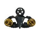 US Army Master Parachutist Badge