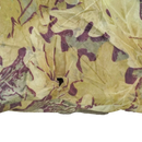 Cabela's Dry-Plus Advantage Camo Lined Wet Weather Bib Overalls - Large