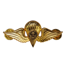 Saudi Arabian Armed Forces Parachutist Badge, Item 2