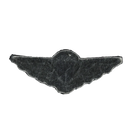 Canadian Armed Forces Basic Parachutist Qualification Patch
