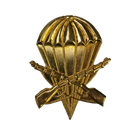 Argentine Army Airborne Infantry Beret Badge, Item 2