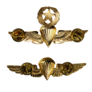 Honduran Army Basic and Master Parachutist Badges