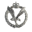 British Army Air Corps Right Facing Collar Badge