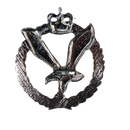 British Army Air Corps Right Facing Collar Badge