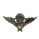 South Vietnamese ARVN Airborne Parachutist Wings Badge