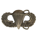 Vintage US Airborne Paratrooper Wings Belt Buckle
