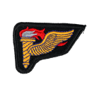 US Army Airborne Pathfinder Wing Patch