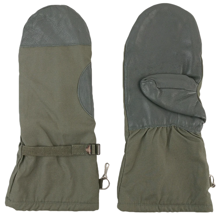 GLV1077-