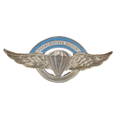 Argentine Army Parachutist Badge, Item 2 - Army & Outdoors - Flags, Badges & Insignia