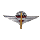Austrian Jagdkommando Parachute Wing Badge