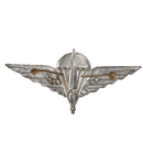 Belgian Para-Commando Brigade Badge, Item 2 - Belgian Army Surplus - Flags, Badges & Insignia