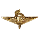 Belgian Paratrooper Commando Gold Badge