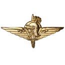 Belgian Paratrooper Commando Gold Badge