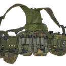 British Army DPM PLCE Web Set - Small