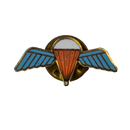 British Army Parachute Regiment Lapel Pin