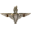 British Parachute Regiment Beret Badge