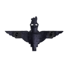 British Parachute Regiment Black Beret Badge