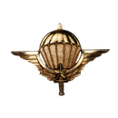 Cameroon Parachute Wings Badge