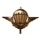Cameroon Parachute Wings Badge, Item 2