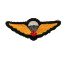 Canadian Forces Basic Parachutist Qualification Wing Patch - Canadian Army Surplus - Flags, Badges & Insignia