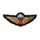 Canadian Forces Basic Parachutist Qualification Wing Patch