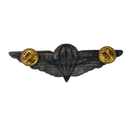 Ciskei Defence Force (CDF) Parachute Wing - Basic Badge