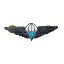 Ciskei Defence Force (CDF) Parachute Wing - Basic Badge