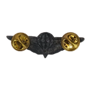 Ciskei Defence Force (CDF) Parachute Wing - Basic Mess Badge
