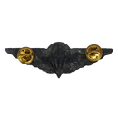 Ciskei Defence Force (CDF) Parachute Wing - Halo Badge