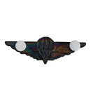 Ciskei Defence Force (CDF) Parachute Wing - Halo, Item 2