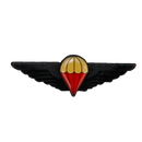 Ciskei Defence Force (CDF) Parachute Wing - Halo, Item 2