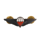 Ciskei Defence Force (CDF) Parachute Wing - Halo Mess Badge