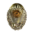 Czech Republic First Class Paratrooper Badge
