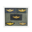 Danish Army Parachute Qualification Wings Display Board