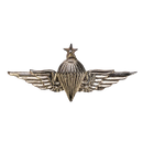 Egyptian Army 3rd Class Parachute Wings Badge