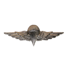 Egyptian Army Basic Parachute Wings Badge