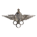 Egyptian Army Parachute Instructor Badge