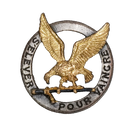 French Air Force Groupe École 318 (School Group 318) Badge