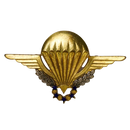 French Army Commando Parachute Group Badge - French Army Surplus - Flags, Badges & Insignia