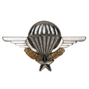 French Army Parachute Badge - French Army Surplus - Flags, Badges & Insignia