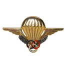 French Army Parachute Instructor Badge
