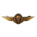 German Bundeswehr Bronze Parachutist Badge