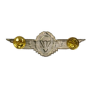 German Bundeswehr Silver Parachutist Badge