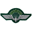 German SGS9 Parachute Qualification Patch