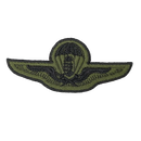 Hungarian Army Subdued Parachute Qualification Patch