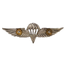 Israel Defense Forces (IDF) Parachutist Badge - Israeli Army Surplus - Flags, Badges & Insignia